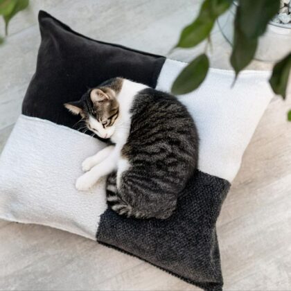Coussin Small