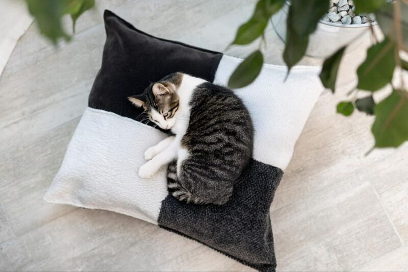 Coussin Small