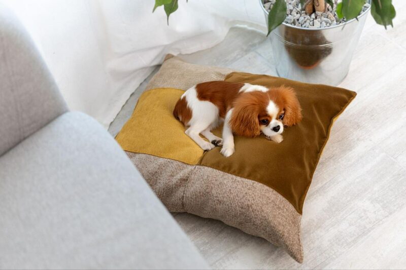 Coussin Medium – Image 2