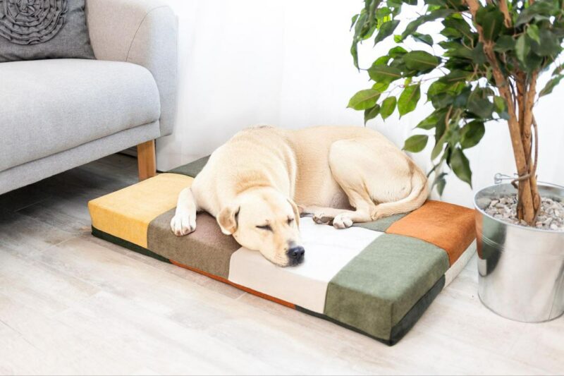 Coussin XL
