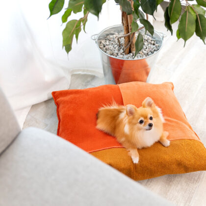 Coussin Medium