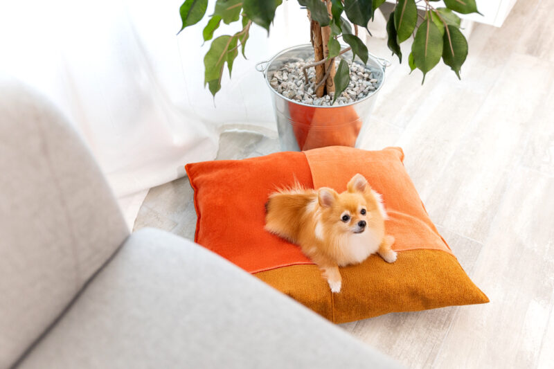 Coussin Medium