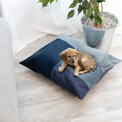 Coussin Medium